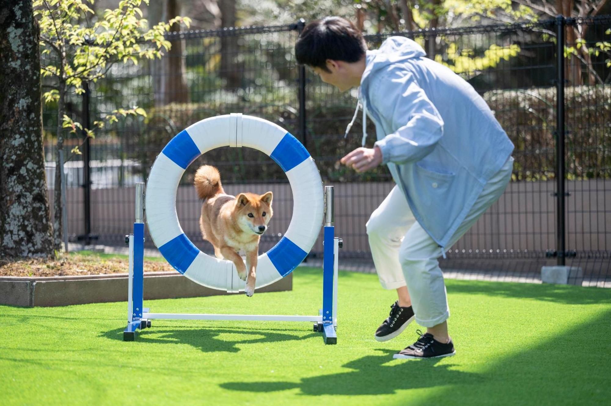 Izumigo Lake Hamana Dog Paradise Hotel Hamamatsu Extérieur photo