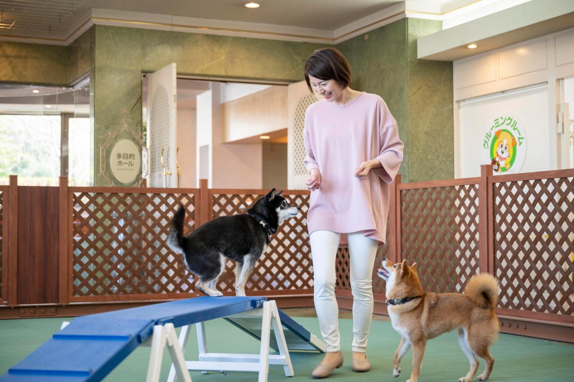Izumigo Lake Hamana Dog Paradise Hotel Hamamatsu Extérieur photo